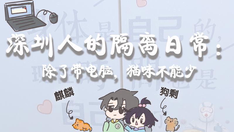 寵TA丨深圳人的隔離日常：除了帶電腦，貓咪不能少